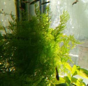 P_20190906_130328_p_1.jpg