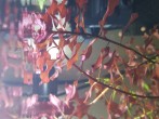 copy_223_copy_791_20190528_181019.jpg