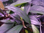 copy_24_20160411_111208.jpg