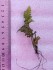 copy_318_copy_661_20190901_163959.jpg