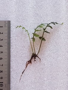 copy_379_copy_111_20190829_171526.jpg