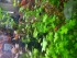 copy_662_20190704_181923.jpg
