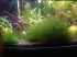 copy_776_IMG_20190907_201457.jpg