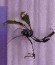 copy_864_copy_147_20190829_172449.jpg