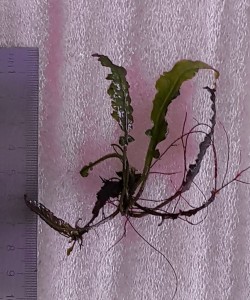 copy_908_copy_175_20190829_172417.jpg