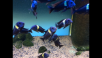 07BBA71F-0690-4A35-B83C-5141906D6B6A.png