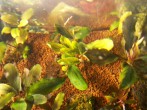 101_0010.JPG