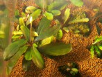 101_0020.JPG