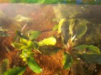 101_0022.JPG
