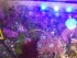 101_0030.JPG