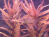 20160325_135925-1024x768.jpg