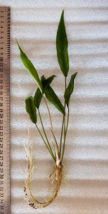 20191003_114614.jpg
