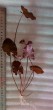 20191003_175819.jpg