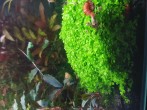 20191005_103653.jpg