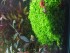 20191005_103653.jpg