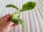 20191012_113138.jpg