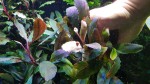 20191013_141035.jpg