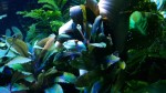20191013_141238.jpg