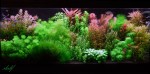 DSCN0524.jpg