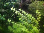IMG_20191001_211039.jpg