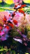 IMG_20191008_183741.jpg