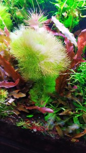 IMG_20191008_184356.jpg