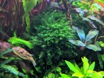 IMG_20191012_185805.jpg