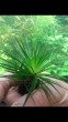 Screenshot_20191023-185220_Gallery.jpg
