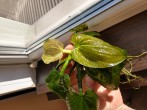 copy_168_IMG_20191013_151102888_HDR.jpg