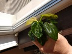 copy_320_IMG_20191013_151105719.jpg