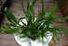 copy_881_copy_887_DSC_0132.jpg