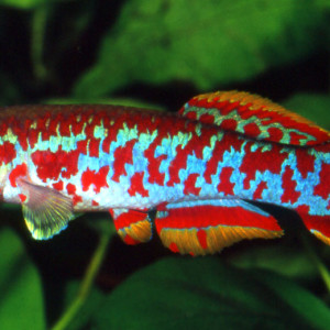 copy_892_copy_518_image001.jpg