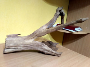 коряга 60.jpg