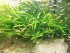 100_4610.JPG