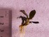 20191103_184416.jpg