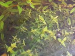 20191118_184619.jpg