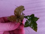 20191128_175458.jpg