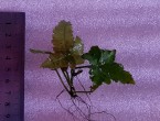 20191128_175612.jpg