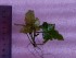 20191128_175612.jpg