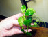 DSCF7946.jpg