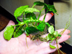 DSCF7947.jpg