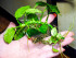 DSCF7947.jpg