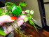 DSCF7948.jpg