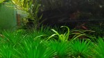 IMG_20191029_214354_1.jpg
