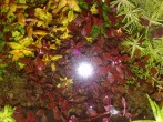 copy_295_copy_880_250520171738.jpg