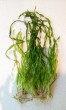 copy_380_copy_604_P_20190126_110949_p_1.jpg