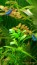 copy_589_copy_7_P_20191115_154314_p.jpg