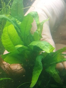 copy_677_copy_33_изображение_viber_2019-10-19_12-17-23.jpg