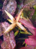 copy_920_copy_584_copy_883_copy_665_copy_128_copy_61_1-3.jpg