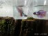 copy_99_IMG_20191110_103230.jpg